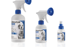 Spray antiparasitaire pour éliminer les tiques dans votre cour spray-antiparasitaire-pour-eliminer-les-tiques-dans-votre-cour