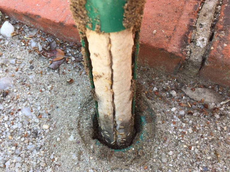 stations dappats de termites en beton une solution efficace contre les infestations