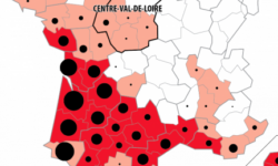 taille-des-termites-quels-sont-les-formats-les-plus-courants