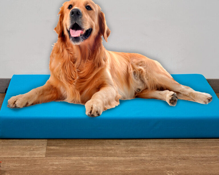 tapis pour animaux de compagnie le meilleur choix pour un confort optimal