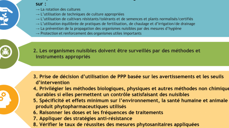 top 10 des methodes de lutte antiparasitaire les plus efficaces