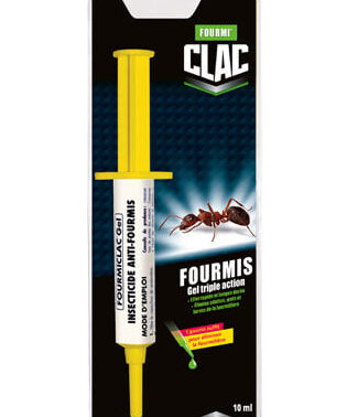 top 5 des meilleurs anti fourmis pour une lutte efficace