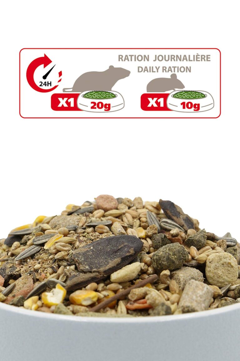 top aliment pour rats les meilleurs choix pour une nutrition optimale