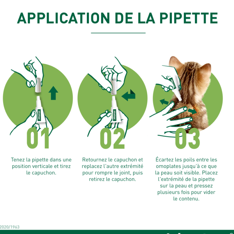 top aspirateurs anti puces trouvez le meilleur pour eliminer les nuisibles
