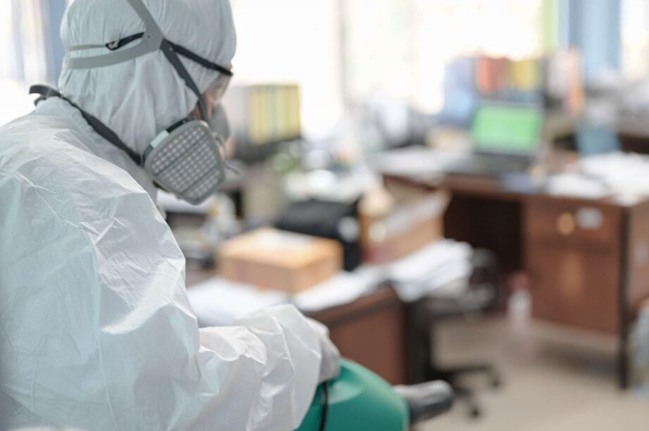 traitement par fumigation une solution efficace contre les nuisibles