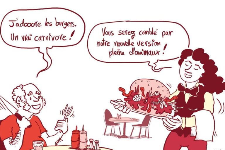 transformation des asticots en mouches tout ce que vous devez savoir