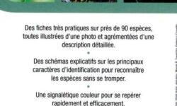 trouver-les-insectes-caches-chez-vous-guide-pratique-et-astuces