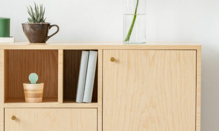 trouvez des solutions efficaces contre les traces de punaises de lit