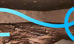 vide-sanitaire-limportance-de-la-barriere-dhumidite-pour-prevenir-les-nuisibles