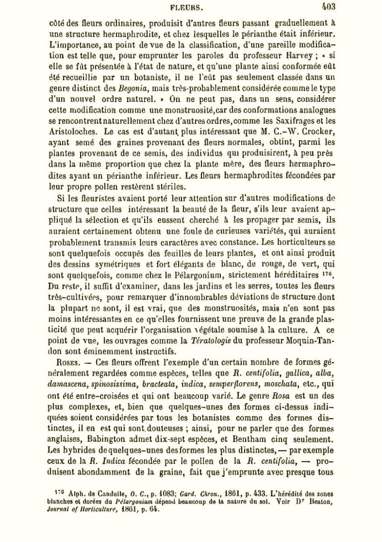 voler pres guide complet pour repousser les nuisibles volants